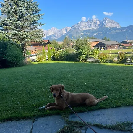 Kaiserblick By Tirol Estate Appartamento *
